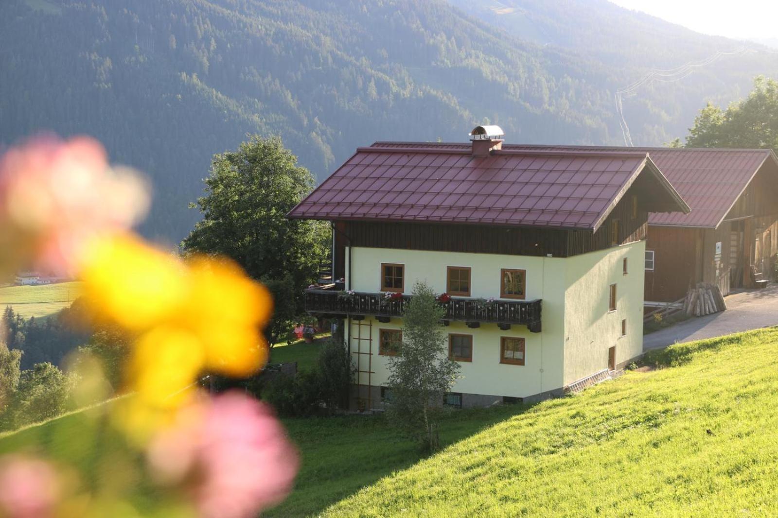 Mühlbach am Hochkönig Molteraugut 아파트 외부 사진