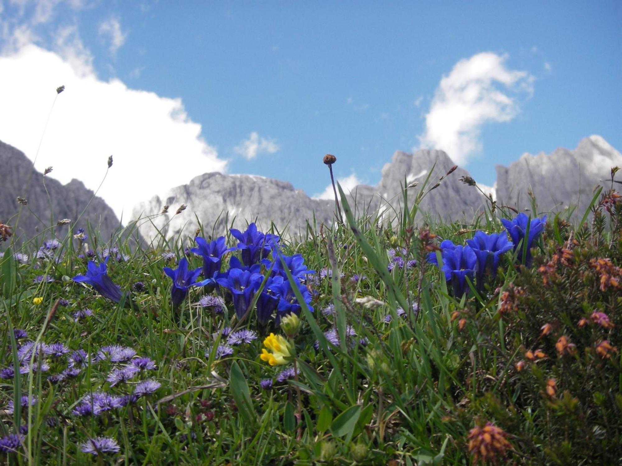 Mühlbach am Hochkönig Molteraugut 아파트 외부 사진
